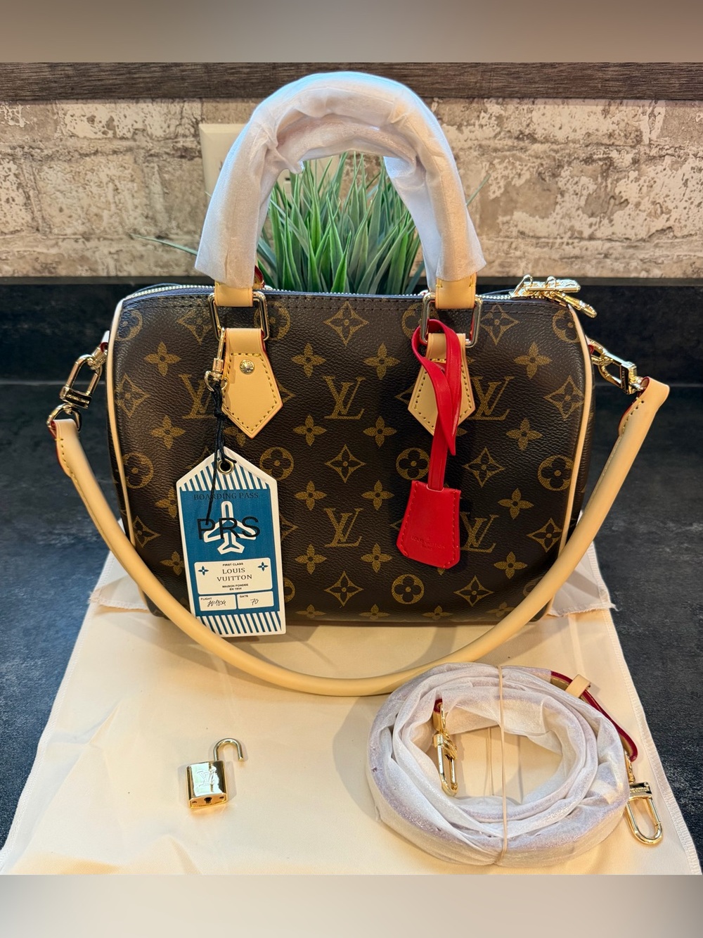 Louis Vuitton Speedy 25cm